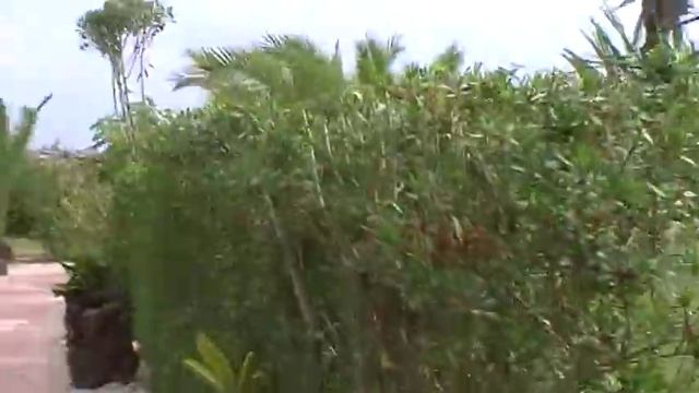 Отель Сканес Сериал. Тунис. смотреть онлайн