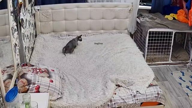 Скрытая камера ?  над кроватью