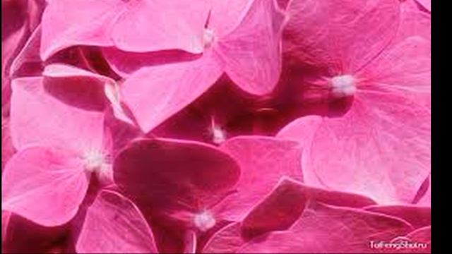 Цвета-талисманы. Что обозначает цвет.