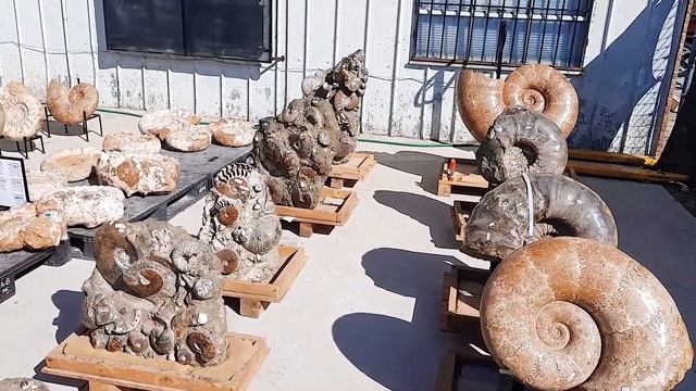 Самая знаменитая ярмарка камней. TUCSON GEM AND MINERAL SHOW 2022 смотреть онлайн