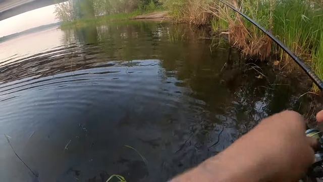 САМАЯ СТАБИЛЬНАЯ ПРИМАНКА. НАШКУРИЛИ ОКУНЯ НА ВЕЧЕРКЕ. ТЭЙЛ-СПИННЕР HURRICANE смотреть онлайн