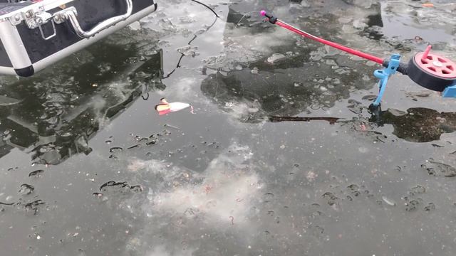 Ловля плотвы со льда.Ведро плотвы за час.Рыбалка на Днепре 2022. смотреть онлайн