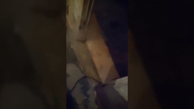 Уборка квартиры после смерти человека. Уборка квартиры после трупа в Минске. Уборка после умершего. смотреть онлайн