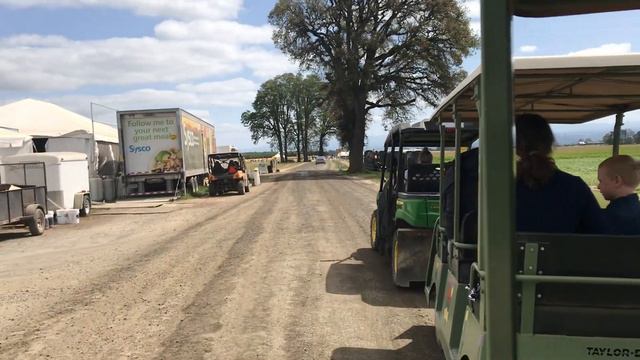 PORTLAND VLOG: МЫ В ГОРОДЕ ПОРТЛЕНД / МОЕ ДЕНЬ РОЖДЕНИЯ 🎉 / СБЫЛАСЬ МОЯ МЕЧТА 🎁