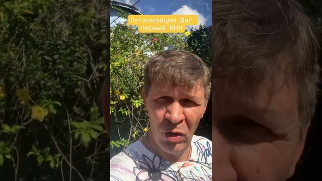ВНЖ Ямайка шаг первый ИНН (TRN) #ямайка #внж #эмиграция смотреть онлайн