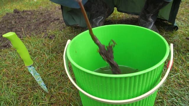 Как правильно нужно высаживать саженцы в летнем сезоне?