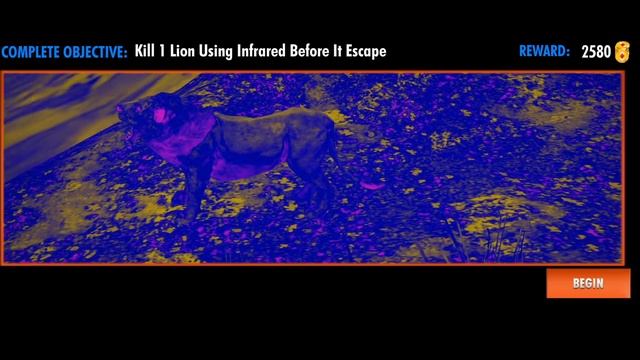 Wild Deer Hunter FPS Animal Hunting Adventure Game ? ANDROID GAMEPLAY смотреть онлайн