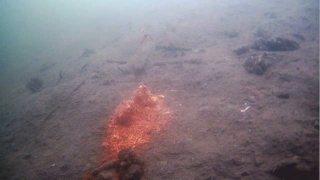 Зимняя рыбалка вид с подводной камеры 3 часть!!! смотреть онлайн