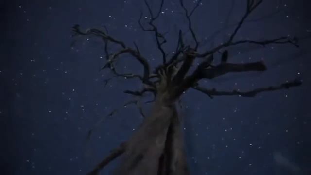 1ч История праздника Рождества Христова смотреть онлайн