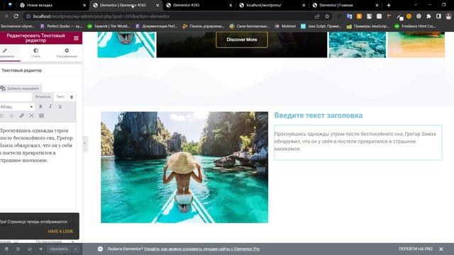 elementor wordpress как пользоваться смотреть онлайн