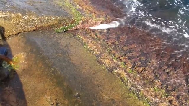 Санаторий Ай-Петри. Крым Ялта. Видео обзор. Отзыв в описании. смотреть онлайн