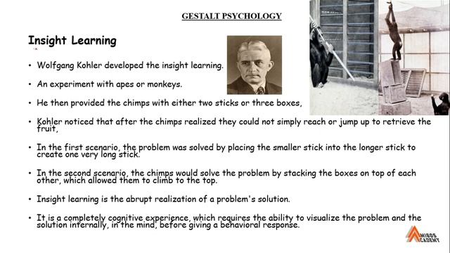 What is gestalt psychology | Introduction to gestalt psychology | Hindi | Urdu смотреть онлайн