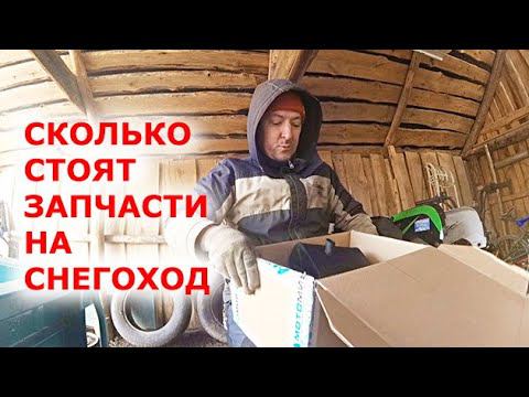 Сколько ДЕНЕГ высосал СНЕГОХОД Динго т150? А ведь ещё даже не катался! смотреть онлайн