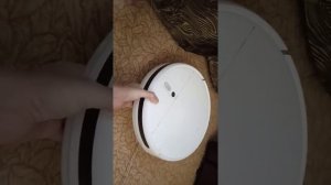 Робот пылесос Xiaomi матерится