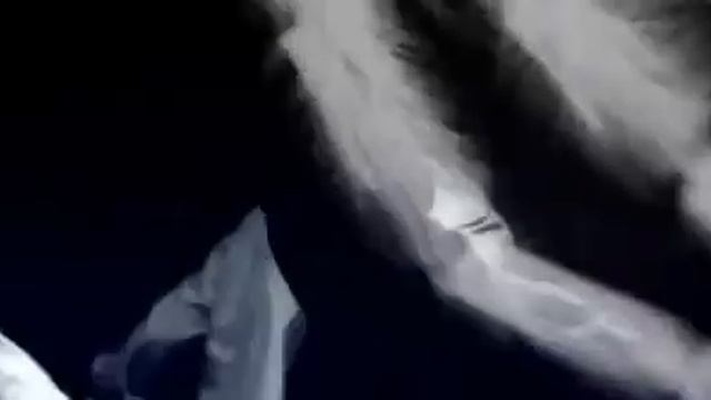 Александр Еловских - Перестрелка смотреть онлайн