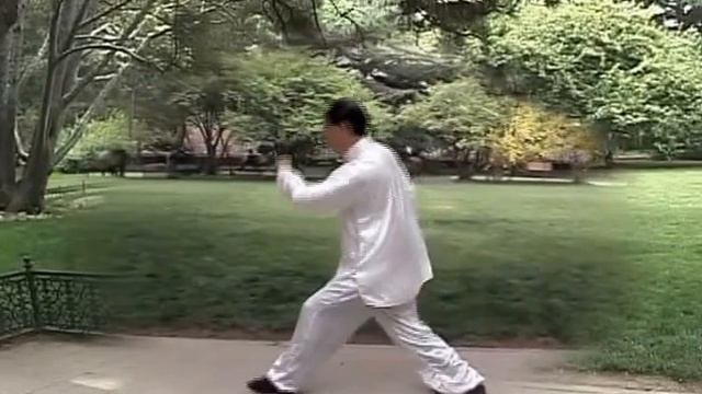 Синъ И Цюань. 12 форм животных. Сунь Суй