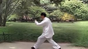 Синъ И Цюань. 12 форм животных. Сунь Суй