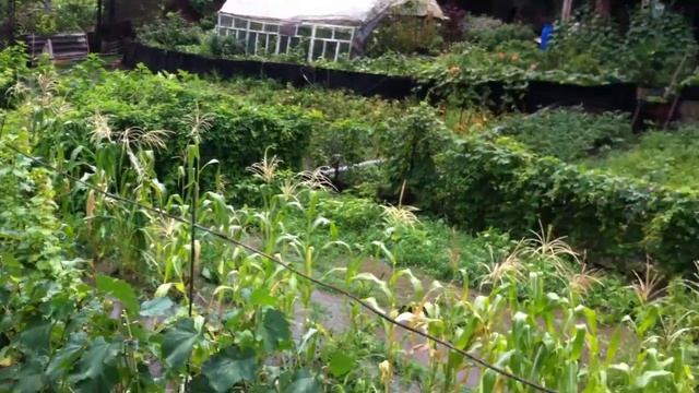 река огород смотреть онлайн