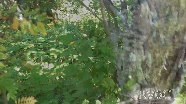 С друзьями в выходные, на "Джинту" смотреть онлайн