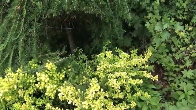 ГРАНИЦЫ ДОЗВОЛЕННОГО смотреть онлайн