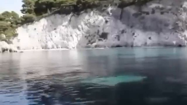 мы родились в сибири//у разбитого корыта//обзор канала