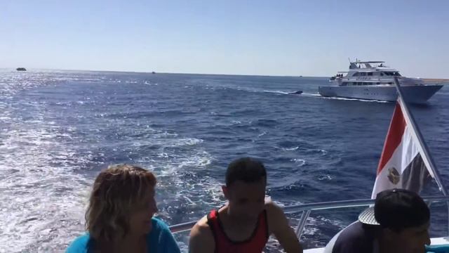 Прогулка по Красному морю Египет Шарм-Эль-Шейх отель Конкорд Март 2017 смотреть онлайн