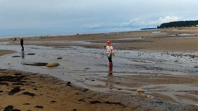 Онега, Белое море, р. Каменный ручей впадает в море, отлив смотреть онлайн