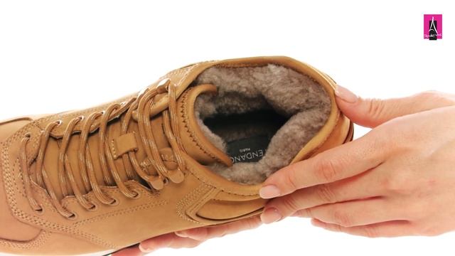 3565033 Видеообзор I Мужские кроссовки TENDANCE смотреть онлайн