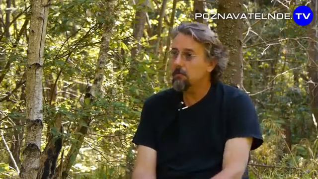 Американская безграмотность Познавательное ТВ, Максим Кузнецов смотреть онлайн