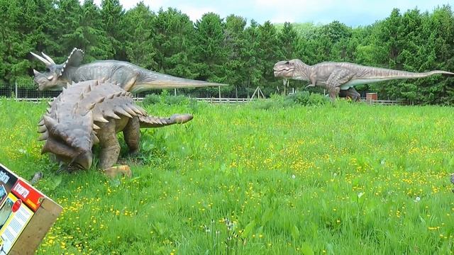 Зоопарки Англии смотреть онлайн