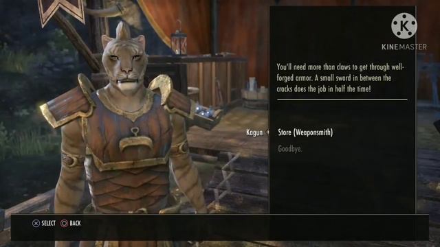 Compilation of khajiit dialogues from ESO смотреть онлайн