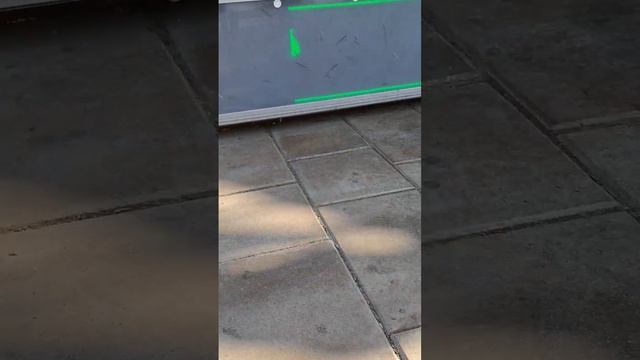 Жесть чихуа и питбуль рвут кошку слабонервным не смотреть смотреть онлайн