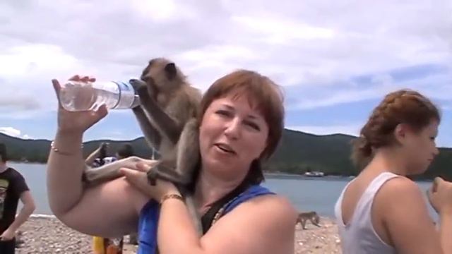 Остров Обезьян. The island of monkeys. смотреть онлайн