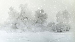 Футаж. Зимний пейзаж 53