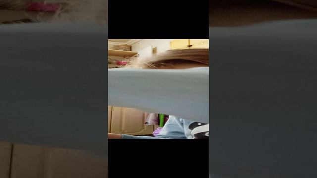 1000007915.mp4 смотреть онлайн