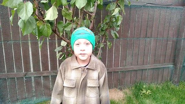 "У лукоморья дуб зелёный..." А.С.Пушкин смотреть онлайн