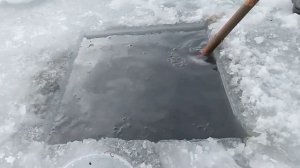 на что лучше и как наловить намыть добывать мотыля зимой.