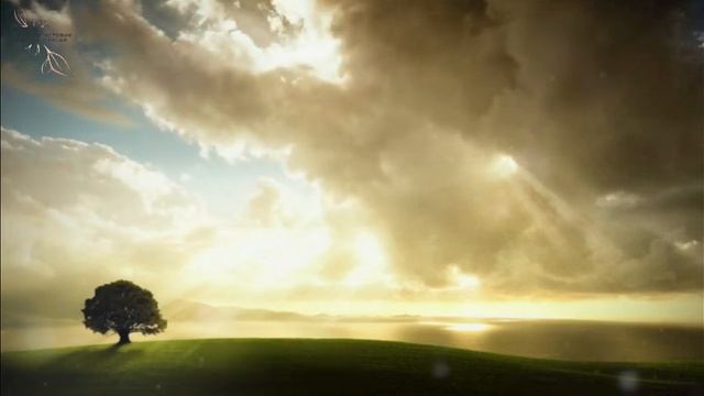 Памяти Дарьи Дугиной смотреть онлайн