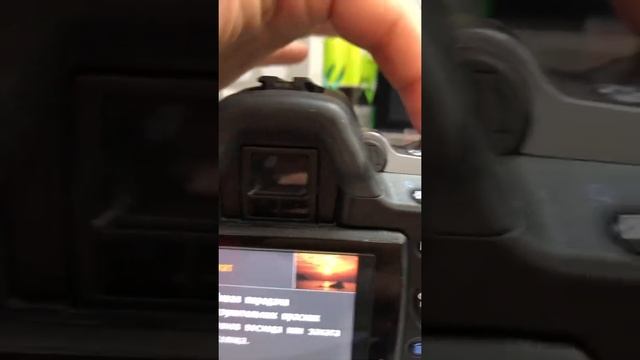 25 августа 2022 г. смотреть онлайн