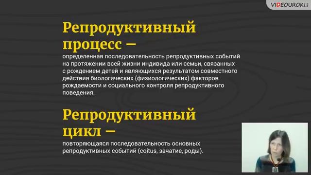 Семейное поведение смотреть онлайн
