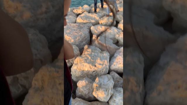 Sobrang Ganda Promise!!! смотреть онлайн