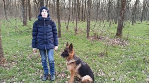 Как и чем кормить крупную собаку. Рацион немецкой овчарки.