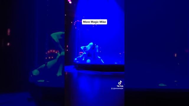 Magic Mike Live Las Vegas Water Dance Show