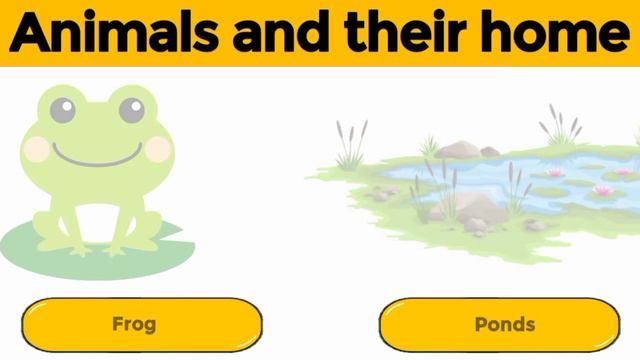 Animals And Their Homes | Animals Home | Home Of Animals | Animal Homes | Animal Shelter For Kids