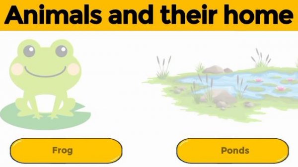 Animals and their homes | Animals home | Home of animals | Animal homes | Animal shelter for kids