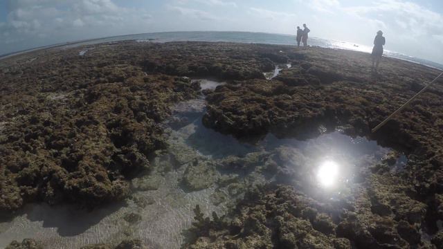 Low Tide Walking @ Indian Ocean -Zanzibar 2017 смотреть онлайн