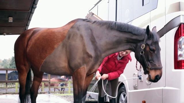 Tatton Eventor BLACK TEXT HD1 смотреть онлайн