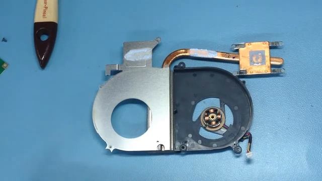 Дом в новом свете