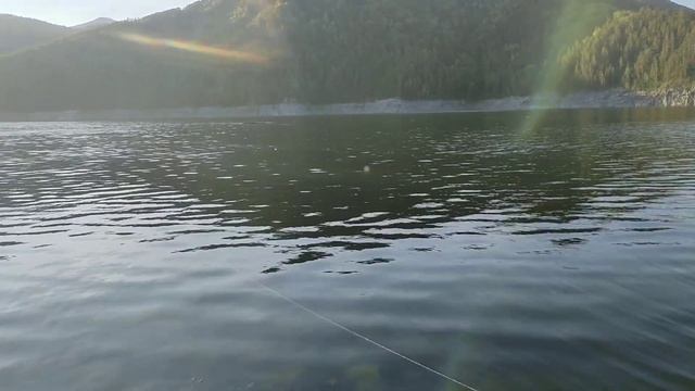 Один день на Саяно Шушенском водохранилище, клёво!!! и рыба есть. смотреть онлайн