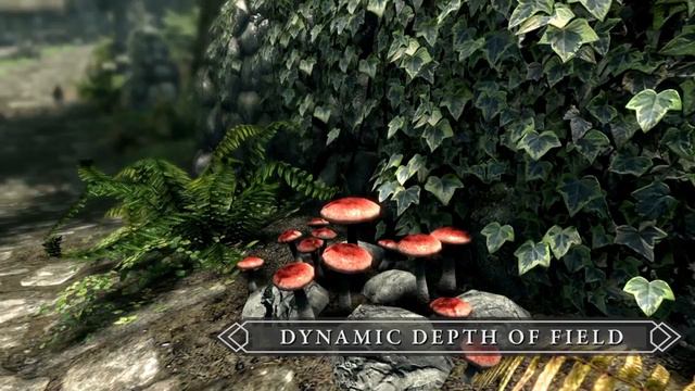 Новый Skyrim Special Edition О,да Trailer смотреть онлайн